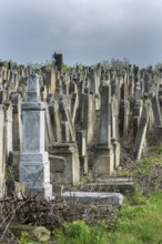 Tombstones at the Jewish cemetery, since 1866, Czernowicz, Bukovina, Ukraine