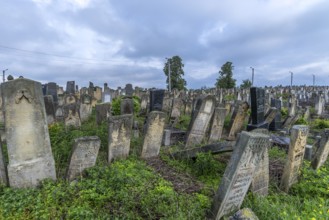 Historic Jewish Cemetery, since 1866, Czernowicz, Bukovina, Ukraine
