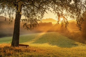 View of the Wartburg in the Thuringian Forest at sunrise and morning fog, the sun shining through