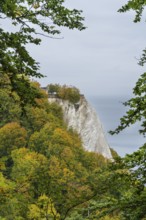 Victoria view of Königsstuhl, chalk cliffs and Baltic Sea, trees with autumn colors, Jasmund