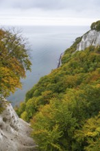 View of chalk cliffs and Baltic Sea, trees with autumn leaves, Jasmund National Park, Sassnitz,
