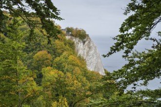 Victoria view of Königsstuhl, chalk cliffs and Baltic Sea, trees with autumn colors, Jasmund