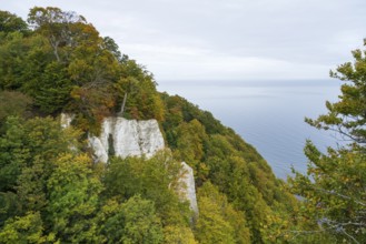 View of chalk cliffs and Baltic Sea, trees with autumn leaves, Jasmund National Park, Sassnitz,