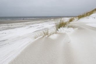 Snow-covered dunes on the North Sea beach, Langeoog, Lower Saxony, Germany