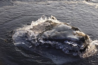 Ice on a lake, winter, Germany