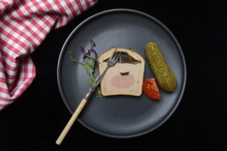 Battered pate on plate with microgreen