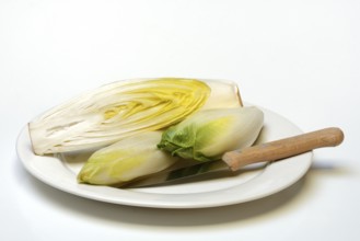 Chicory, chicory salad on plate with knife