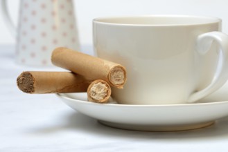 Filled waffle rolls with cup, waffle roll