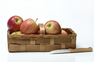 Several apples in chip basket, varieties 'Pink Lady' and 'Greenstar'