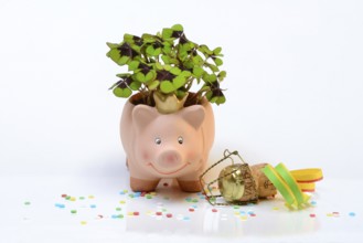 Lucky ceramic pig with shamrock plant and champagne cork, New Year