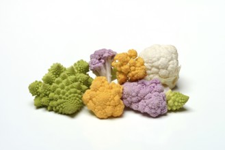 Colored cauliflower, Brassica oleracea var. botrytis