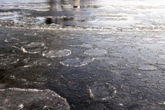 Elbe with ice, winter, Dresden, Saxony, Germany