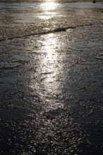 Elbe with ice, winter, Dresden, Saxony, Germany