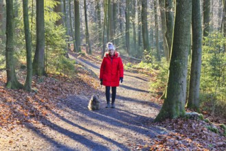 Woman walking through the winter forest with dog, back light
