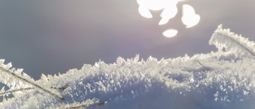 Close-up of sparkling snow and ice in sunlight with a blurred background that the light makes glow