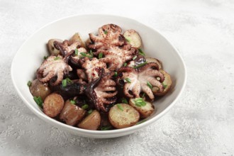 Baby grilled octopus with golden baked potatoes and fresh herbs, Maltese cuisine, homemade, no