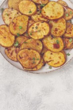 Crispy potato slices, with parmesan cheese and spices, fried in the oven, homemade, no people