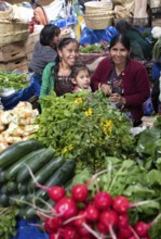 Mayan woman wearing traditional clothes at the market in Sololá, Highlands, Sololá Department,
