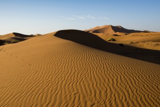 Sand dunes, sunset, near Merzouga, Meknès-Tafilalet region, Erg Chebbi, northern Sahara, Morocco