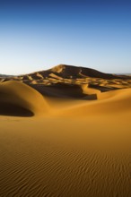Sand dunes, sunset, near Merzouga, Meknès-Tafilalet region, Erg Chebbi, northern Sahara, Morocco