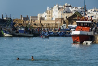 Fishing boats, fishing port, Essaouira, UNESCO World Heritage Site, Atlantic coast, Morocco
