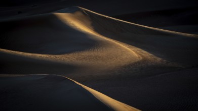 Sand dunes in the Rhub al Khali desert, empty quarter, largest sandy desert in the world, Oman