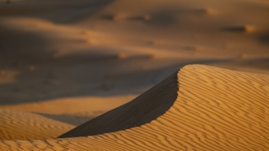 Sand dunes in the Rhub al Khali desert, detailed view, empty quarter, largest sandy desert in the