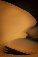 Sand dunes in the Rhub al Khali desert, detailed view, empty quarter, largest sandy desert in the
