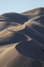 Sand dunes in the Rhub al Khali desert, empty quarter, largest sandy desert in the world, Oman