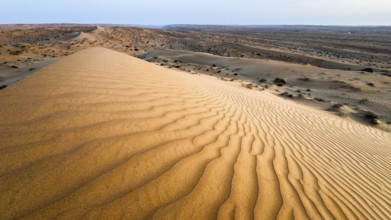 Sand dunes in the Wahiba Sands desert, Oman