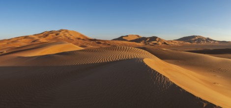 Sand dunes in the Rhub al Khali desert, empty quarter, largest sandy desert in the world, Oman