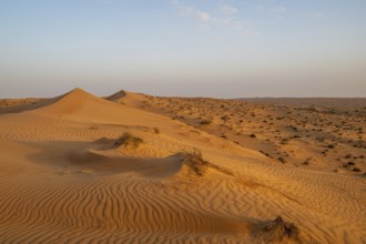 Sand dunes in the Wahiba Sands desert, Oman