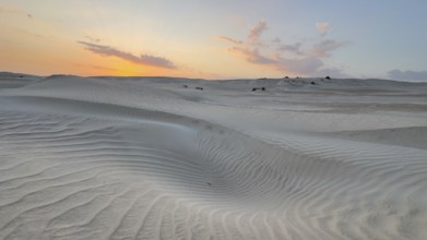 Sunset, white sand dunes in the Khaluf desert, Oman