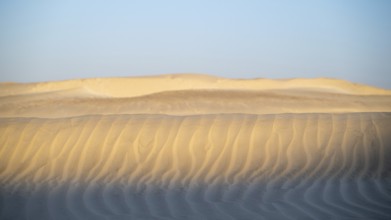 White sand dunes in the Khaluf Desert, Oman