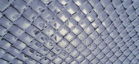 Frozen grid pattern with a cool, bluish atmosphere, Thuringian Forest, Germany
