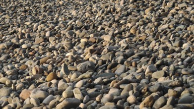 Pebble beach with a variety of stones and pebbles in brown and gray tones, Batumi, Georgia