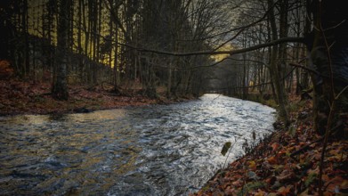 Romantic river landscape at dusk with autumnal atmosphere and calm water, Franconian Forest,