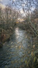 Cool river landscape in winter with leafless trees and calm water, Franconian Forest, Germany