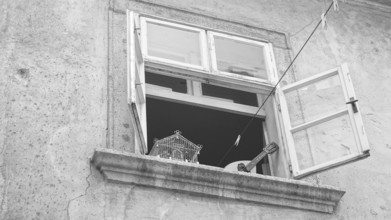 Open window with guitar and empty cage, retro atmosphere, black and white, Bratislava, Slovakia