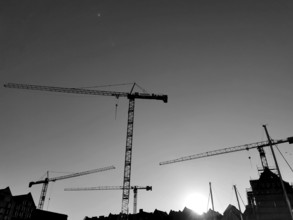 Silhouette of construction cranes against a bright sky at sunset, black and white, Gdansk, Poland