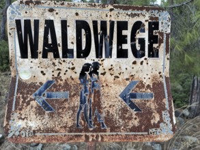 Rusty sign in the forest with the inscription 'forest trails' and arrows in both directions against