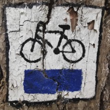 A bike path symbol on a tree shows peeling white and blue paint, Masuria, Poland