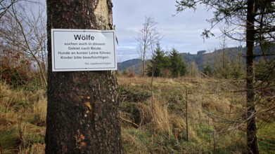 Forest with a tree trunk bearing a warning sign for wolves