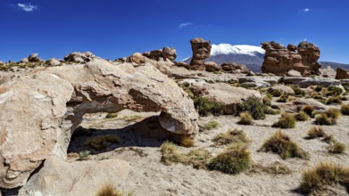Desert landscape with stone arch and snow-covered mountain in the background under bright blue sky,