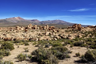 Barren desert landscape with scattered rocks and isolated plants, surrounded by mountains, The