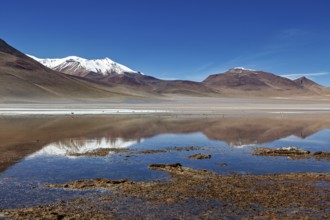 A calm lake reflects snow-capped mountains surrounded by desert-like, open spaces under a clear