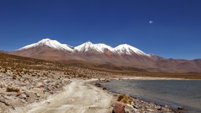 A snow-capped mountain towers over a lake with a desert road that snakes through the barren