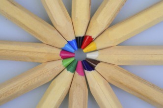 Wooden colored pencils. Pencil nibs