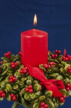 Red burning Christmas candle on bed of green boxwood with red berries