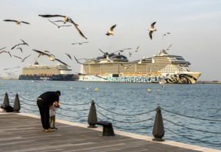 Mina District across from the cruise terminal, locals and tourists feed the seagulls, Doha, United